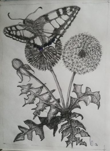 Nr. 07/24 "Wildblumen"