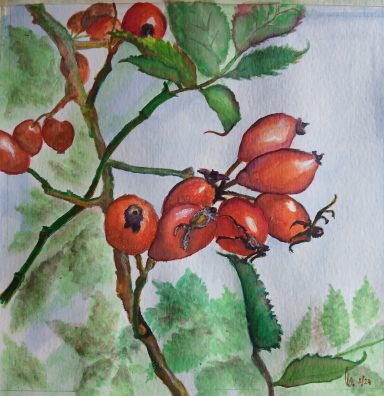 Nr. 134/24 "Baumfrüchte"