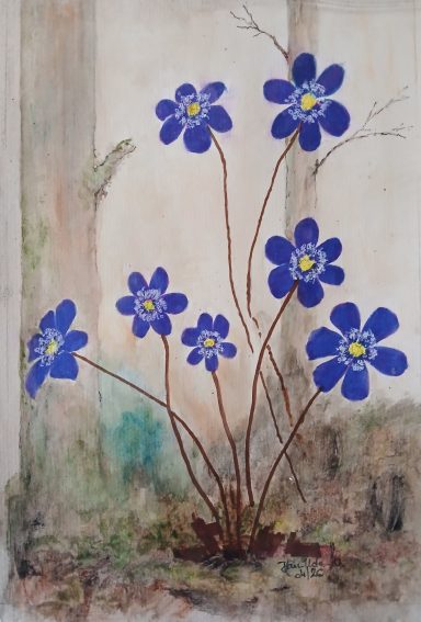 Nr. 21/26 "Wildblumen"