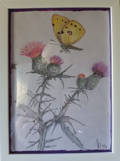 Nr. 55/24 "Wildblumen"