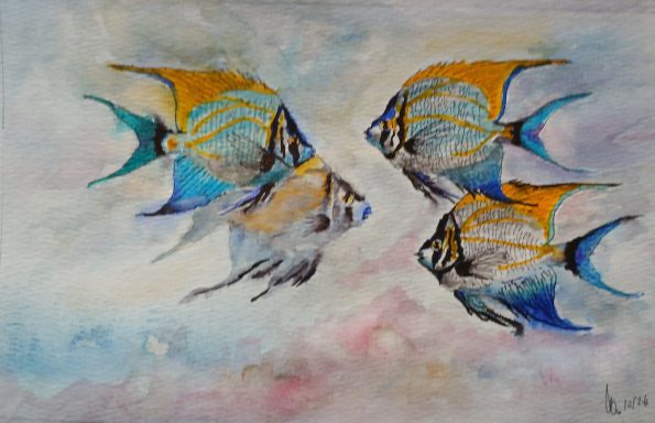 Nr. 182/24 "Tierbilder"