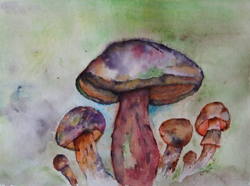 Nr. 15/26 "Pilzszenen"