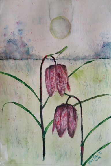 Nr. 20/26 "Wildblumen"